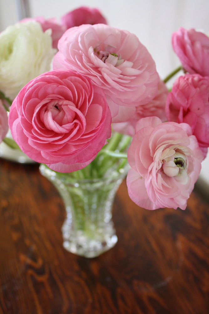 Фотография: Флористика в стиле , Декор интерьера, Декор дома, Декор свадьбы, Цветы, Свадебный декор – фото на INMYROOM Фотография: Флористика в стиле , Декор интерьера, Декор дома, Декор свадьбы, Цветы, Свадебный декор – фото на INMYROOM