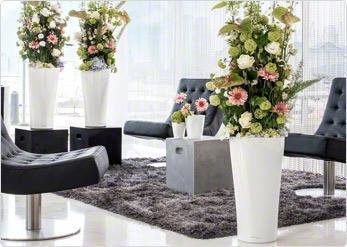 Фото из портфолио Кашпо для растений LECHUZA (Лечуза) DELTA 30 и 40 – фотографии дизайна интерьеров на INMYROOM