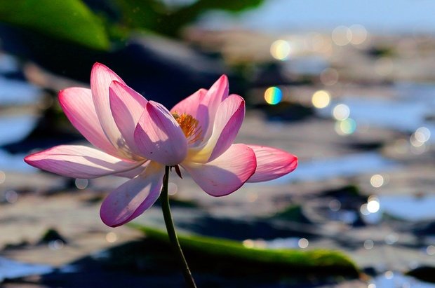 Фото из портфолио Что меня вдохновляет – фотографии дизайна интерьеров на INMYROOM