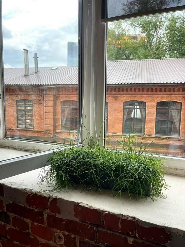 Фото из портфолио Шоурум Monncashmere г.Москва – фотографии дизайна интерьеров на INMYROOM