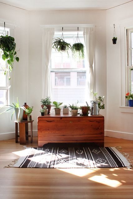 Фотография: Гостиная в стиле Скандинавский, Малогабаритная квартира, Квартира, Флористика, Стиль жизни, Зимний сад – фото на INMYROOM