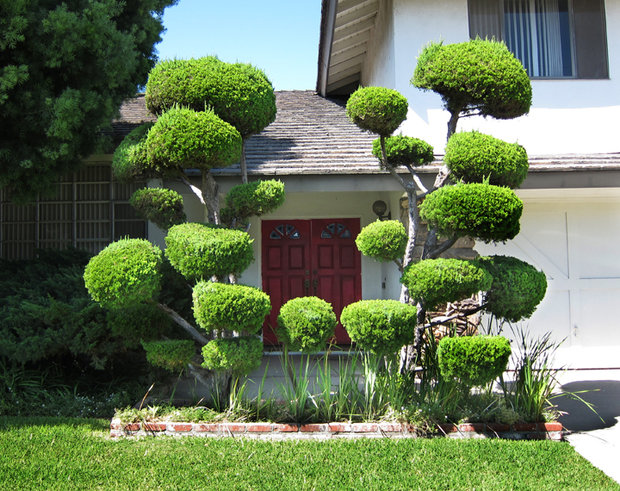 Фотография: Ландшафт в стиле , Флористика, Советы – фото на INMYROOM