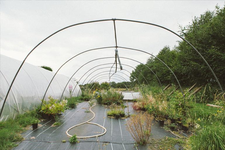 Фотограф: Инди Хобсон