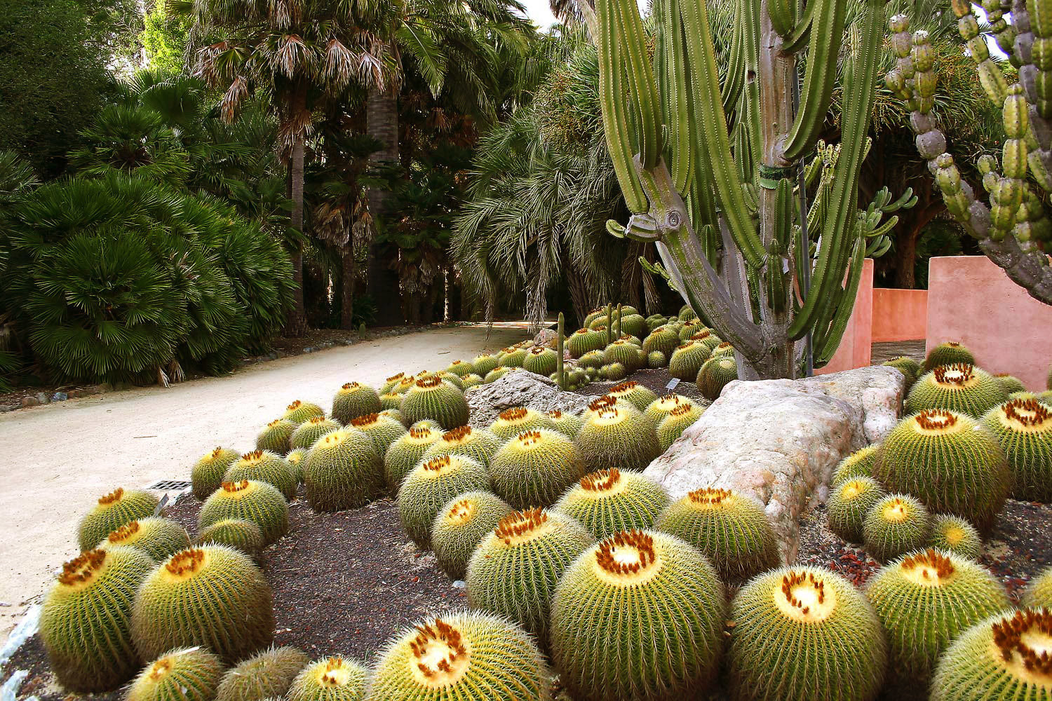 Фотография: в стиле , Ландшафт, Гид – фото на INMYROOM Фотография: в стиле , Ландшафт, Гид – фото на INMYROOM