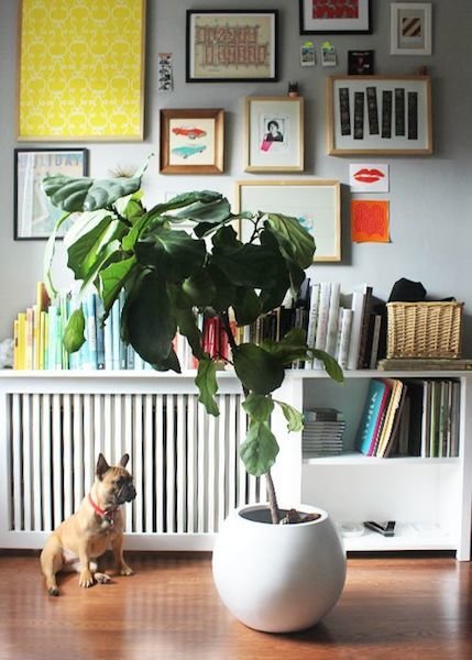 Фотография: Декор в стиле Скандинавский, Декор интерьера, Дом, Декор дома – фото на INMYROOM Фотография: Декор в стиле Скандинавский, Декор интерьера, Дом, Декор дома – фото на INMYROOM