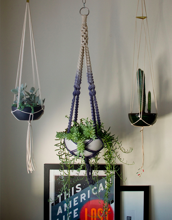 Фотография: Флористика в стиле , Декор интерьера, Зеленый, растения в горшках в интерьере, комнатные растения для ванной комнаты – фото на INMYROOM