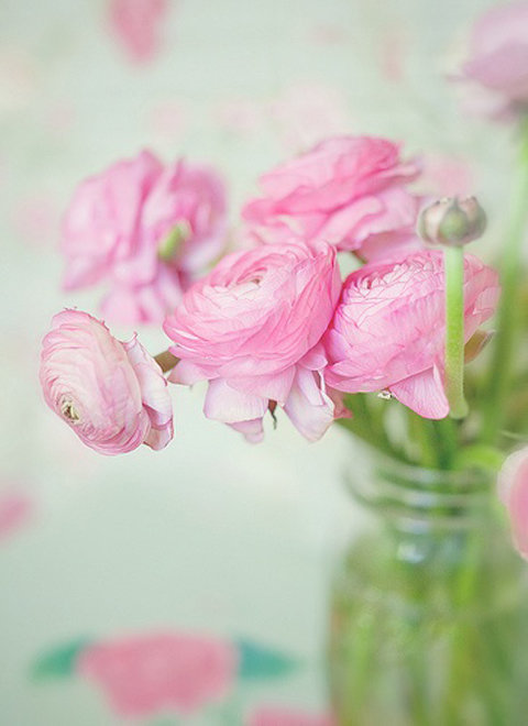 Фотография: Флористика в стиле , Декор интерьера, Декор дома, Декор свадьбы, Цветы, Свадебный декор – фото на INMYROOM Фотография: Флористика в стиле , Декор интерьера, Декор дома, Декор свадьбы, Цветы, Свадебный декор – фото на INMYROOM