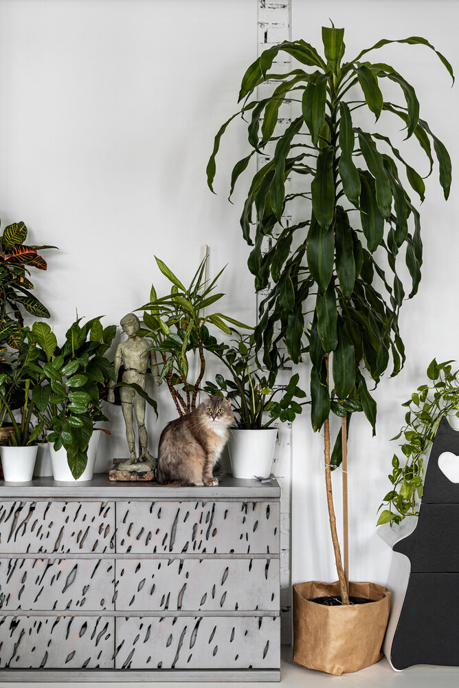 Фотография: Гостиная в стиле Лофт, – фото на INMYROOM Фотография: Гостиная в стиле Лофт, – фото на INMYROOM