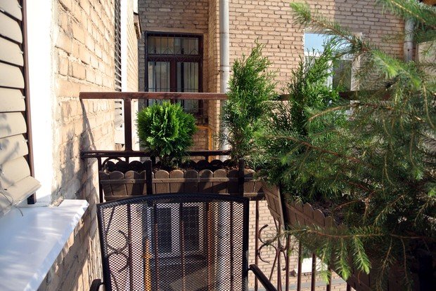 Фотография: Балкон в стиле Прованс и Кантри, Ландшафт, Декор, Терраса, Советы, Мария Шумская, Есения Семипядная, элегантный городской балкон, винтажные вещи на балконе, восточный декор для балкона, балкон в средиземноморском стиле, ландшафтный дизайн для балкона, горизонтальное озеленение, хвойные растения на балконе – фото на INMYROOM