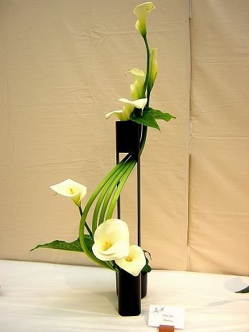 Фотография: Флористика в стиле ,  – фото на INMYROOM