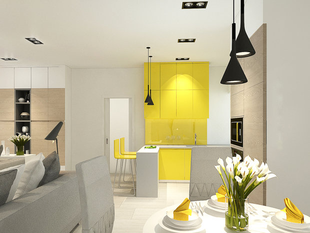 Фото из портфолио Кусочек льда – фотографии дизайна интерьеров на INMYROOM