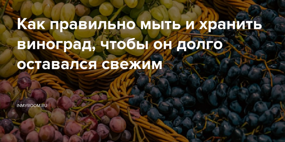 Как правильно мыть и хранить виноград, чтобы он долго оставался свежим