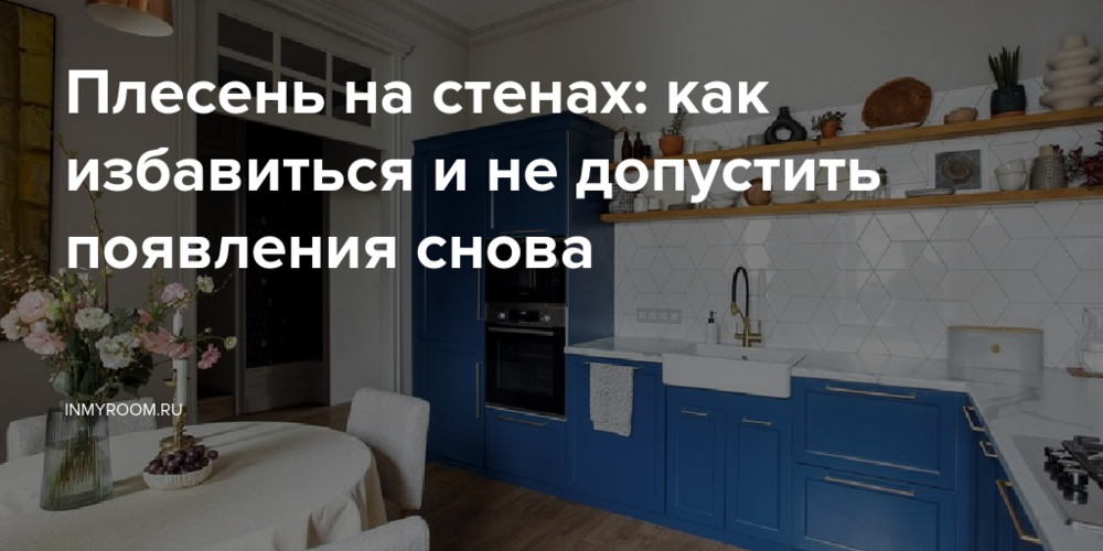 Плесень на стенах: как избавиться и не допустить появления снова