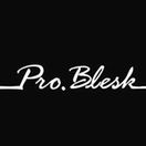 Менеджмент в индустрии Pro Blesk