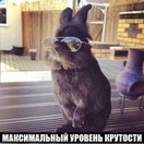 Denis Vydrin
